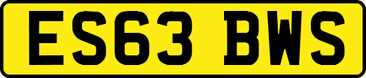 ES63BWS