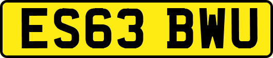 ES63BWU