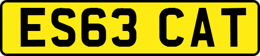 ES63CAT