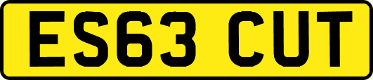 ES63CUT