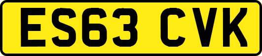 ES63CVK