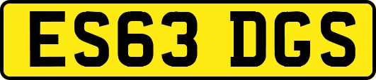 ES63DGS