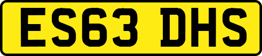 ES63DHS