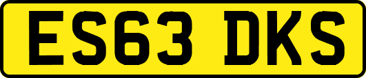 ES63DKS