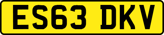 ES63DKV
