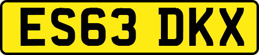 ES63DKX