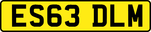 ES63DLM