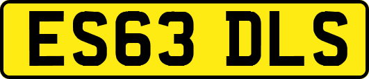 ES63DLS