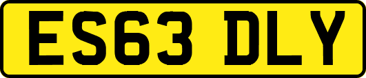 ES63DLY