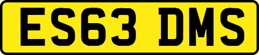 ES63DMS