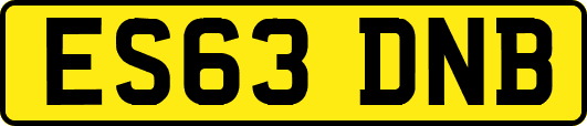 ES63DNB