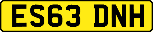 ES63DNH