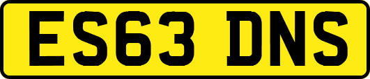 ES63DNS