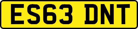ES63DNT