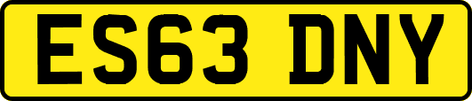 ES63DNY