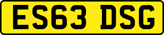 ES63DSG