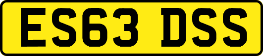 ES63DSS