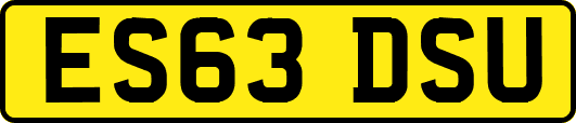 ES63DSU