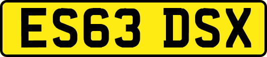ES63DSX