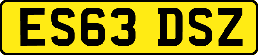 ES63DSZ