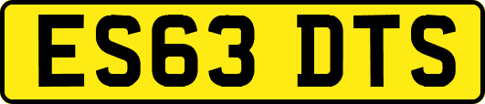 ES63DTS
