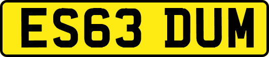 ES63DUM