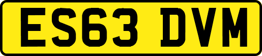ES63DVM