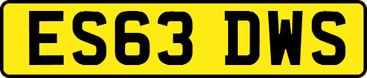 ES63DWS