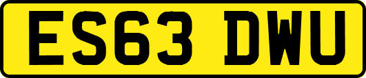 ES63DWU