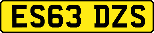ES63DZS