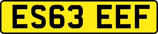 ES63EEF