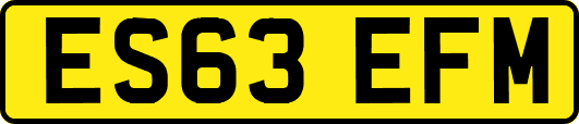ES63EFM