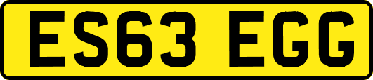ES63EGG