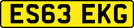 ES63EKG