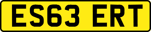 ES63ERT