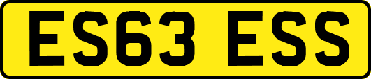 ES63ESS