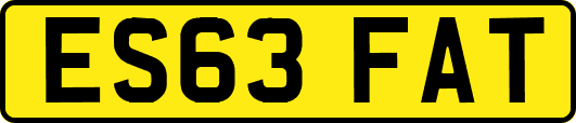 ES63FAT