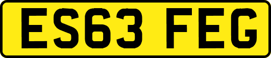 ES63FEG