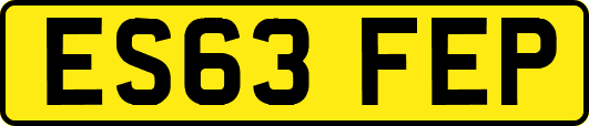 ES63FEP