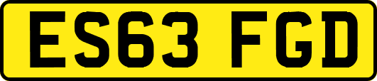 ES63FGD