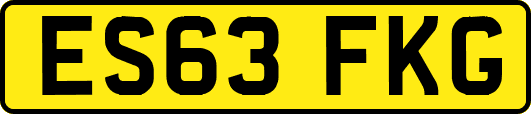 ES63FKG