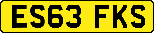 ES63FKS