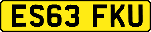 ES63FKU