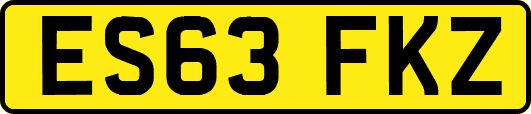 ES63FKZ