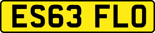 ES63FLO