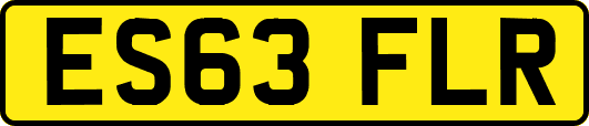 ES63FLR