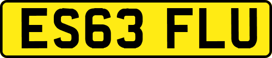 ES63FLU