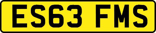ES63FMS