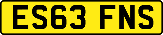 ES63FNS