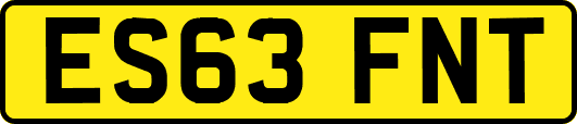 ES63FNT